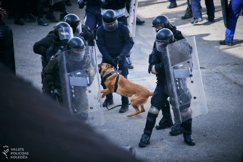 Valsts policijas dienesta suns