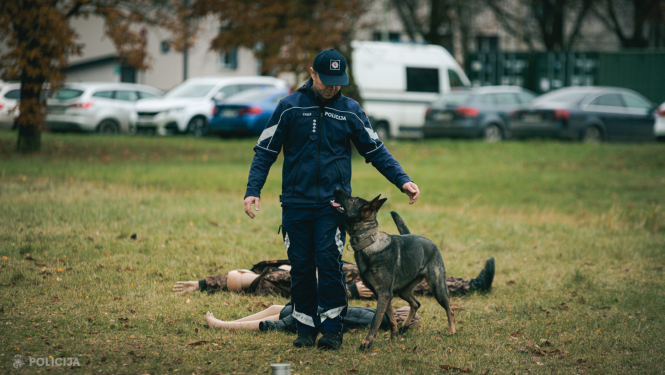 Valsts policijas koledžā aizvadītas pirmās Valsts policijas kinologu sacensības!